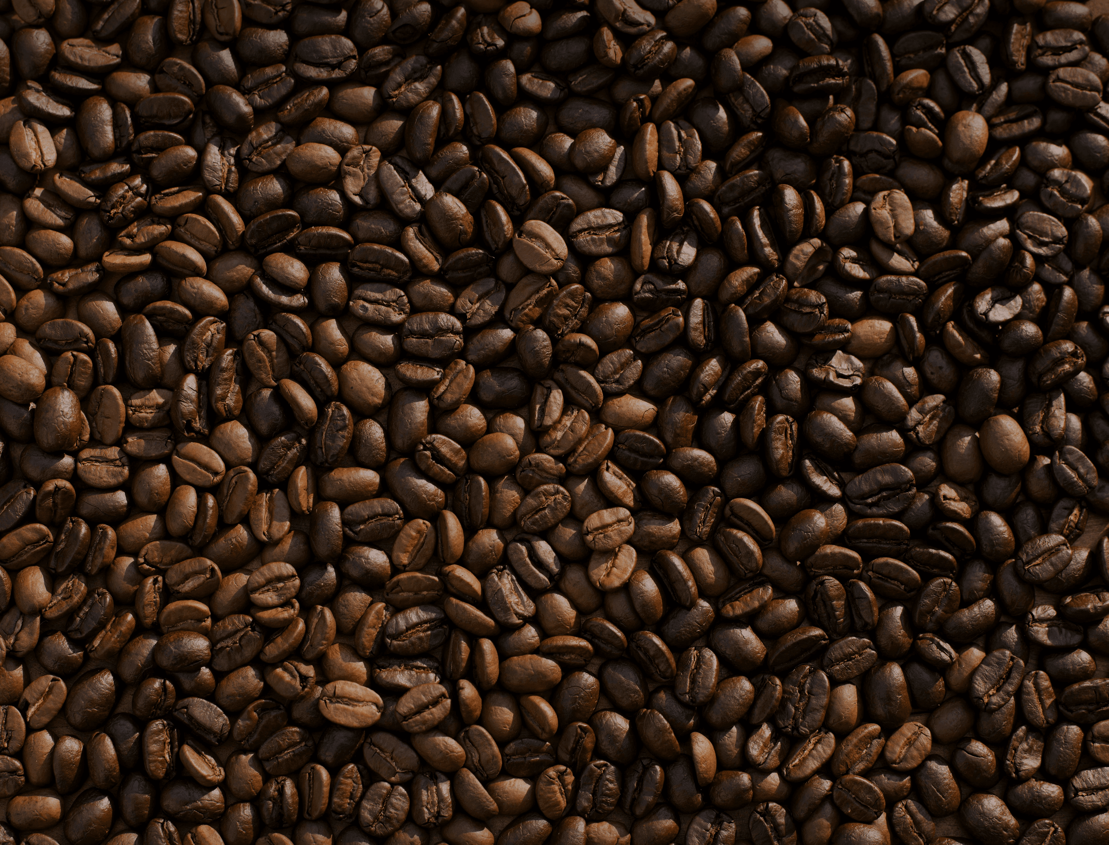 roasters directory background